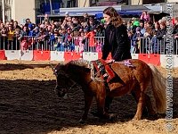 A IM 0018    © Daniela und Christian Bittner u.a.    Alle Inhalte auf diesen Webseiten sind urheberrechtlich geschützt. Kein Teil der hier abrufbaren Inhalte darf ohne ausdrückliche schriftliche Erlaubnis des Fotografen reproduziert, gedruckt, übersetzt, in digitaler Form weiterbearbeitet, in Archive übernommen oder Dritten unter einer fremden URL zugänglich gemacht werden.   Fotografen: AE .. A. Esdar, AH .. A. Helmle, CB .. Chr. Bittner, DB .. D. Bittner, LB .. L. Bittner, BB .. B. Boschatzke,   HZ .. H. Ziegelbauer, IM .. I. Maierhöfer, KH .. K. Hauber, LE .. L. Esdar, ME .. M. Esdar, MEr .. M. Erhard,   RM .. R. Maierhöfer, SD .. S. Demchuk, TS .. T. Spaag-Wagner, UL .. U. Ladenburger, JW .. J. Wecker, EB .. E. Boschatzke,   JA .. J. Abele, MW .. Maria Walter, MB .. Manuel Bühler, GG .. Georg Gösele, CBa .. Christoph Bayrle, KZW .. Kathrin Zwerger, PG .. Peter Gösele, CME .. Carmen Müller-Epacher, GB .. Gebhard Bühler, AL .. Alisha Ladenburger, SV .. Susanne Habel-Veit.