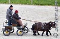 062 A DB 0384    © Daniela und Christian Bittner u.a.    Alle Inhalte auf diesen Webseiten sind urheberrechtlich geschützt. Kein Teil der hier abrufbaren Inhalte darf ohne ausdrückliche schriftliche Erlaubnis des Fotografen reproduziert, gedruckt, übersetzt, in digitaler Form weiterbearbeitet, in Archive übernommen oder Dritten unter einer fremden URL zugänglich gemacht werden.   Fotografen: AE .. A. Esdar, AH .. A. Helmle, CB .. Chr. Bittner, DB .. D. Bittner, LB .. L. Bittner, BB .. B. Boschatzke,   HZ .. H. Ziegelbauer, IM .. I. Maierhöfer, KH .. K. Hauber, LE .. L. Esdar, ME .. M. Esdar, MEr .. M. Erhard,   RM .. R. Maierhöfer, SD .. S. Demchuk, TS .. T. Spaag-Wagner, UL .. U. Ladenburger, JW .. J. Wecker, EB .. E. Boschatzke,   JA .. J. Abele, MW .. Maria Walter, MB .. Manuel Bühler, GG .. Georg Gösele, CBa .. Christoph Bayrle, KZW .. Kathrin Zwerger, PG .. Peter Gösele, CME .. Carmen Müller-Epacher, GB .. Gebhard Bühler, AL .. Alisha Ladenburger, SV .. Susanne Habel-Veit.