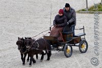 068 A DB 0416    © Daniela und Christian Bittner u.a.    Alle Inhalte auf diesen Webseiten sind urheberrechtlich geschützt. Kein Teil der hier abrufbaren Inhalte darf ohne ausdrückliche schriftliche Erlaubnis des Fotografen reproduziert, gedruckt, übersetzt, in digitaler Form weiterbearbeitet, in Archive übernommen oder Dritten unter einer fremden URL zugänglich gemacht werden.   Fotografen: AE .. A. Esdar, AH .. A. Helmle, CB .. Chr. Bittner, DB .. D. Bittner, LB .. L. Bittner, BB .. B. Boschatzke,   HZ .. H. Ziegelbauer, IM .. I. Maierhöfer, KH .. K. Hauber, LE .. L. Esdar, ME .. M. Esdar, MEr .. M. Erhard,   RM .. R. Maierhöfer, SD .. S. Demchuk, TS .. T. Spaag-Wagner, UL .. U. Ladenburger, JW .. J. Wecker, EB .. E. Boschatzke,   JA .. J. Abele, MW .. Maria Walter, MB .. Manuel Bühler, GG .. Georg Gösele, CBa .. Christoph Bayrle, KZW .. Kathrin Zwerger, PG .. Peter Gösele, CME .. Carmen Müller-Epacher, GB .. Gebhard Bühler, AL .. Alisha Ladenburger, SV .. Susanne Habel-Veit.