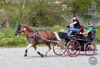 156 A DB 0680    © Daniela und Christian Bittner u.a.    Alle Inhalte auf diesen Webseiten sind urheberrechtlich geschützt. Kein Teil der hier abrufbaren Inhalte darf ohne ausdrückliche schriftliche Erlaubnis des Fotografen reproduziert, gedruckt, übersetzt, in digitaler Form weiterbearbeitet, in Archive übernommen oder Dritten unter einer fremden URL zugänglich gemacht werden.   Fotografen: AE .. A. Esdar, AH .. A. Helmle, CB .. Chr. Bittner, DB .. D. Bittner, LB .. L. Bittner, BB .. B. Boschatzke,   HZ .. H. Ziegelbauer, IM .. I. Maierhöfer, KH .. K. Hauber, LE .. L. Esdar, ME .. M. Esdar, MEr .. M. Erhard,   RM .. R. Maierhöfer, SD .. S. Demchuk, TS .. T. Spaag-Wagner, UL .. U. Ladenburger, JW .. J. Wecker, EB .. E. Boschatzke,   JA .. J. Abele, MW .. Maria Walter, MB .. Manuel Bühler, GG .. Georg Gösele, CBa .. Christoph Bayrle, KZW .. Kathrin Zwerger, PG .. Peter Gösele, CME .. Carmen Müller-Epacher, GB .. Gebhard Bühler, AL .. Alisha Ladenburger, SV .. Susanne Habel-Veit, LV .. Lukas Veit.