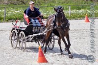 163 A DB 0712    © Daniela und Christian Bittner u.a.    Alle Inhalte auf diesen Webseiten sind urheberrechtlich geschützt. Kein Teil der hier abrufbaren Inhalte darf ohne ausdrückliche schriftliche Erlaubnis des Fotografen reproduziert, gedruckt, übersetzt, in digitaler Form weiterbearbeitet, in Archive übernommen oder Dritten unter einer fremden URL zugänglich gemacht werden.   Fotografen: AE .. A. Esdar, AH .. A. Helmle, CB .. Chr. Bittner, DB .. D. Bittner, LB .. L. Bittner, BB .. B. Boschatzke,   HZ .. H. Ziegelbauer, IM .. I. Maierhöfer, KH .. K. Hauber, LE .. L. Esdar, ME .. M. Esdar, MEr .. M. Erhard,   RM .. R. Maierhöfer, SD .. S. Demchuk, TS .. T. Spaag-Wagner, UL .. U. Ladenburger, JW .. J. Wecker, EB .. E. Boschatzke,   JA .. J. Abele, MW .. Maria Walter, MB .. Manuel Bühler, GG .. Georg Gösele, CBa .. Christoph Bayrle, KZW .. Kathrin Zwerger, PG .. Peter Gösele, CME .. Carmen Müller-Epacher, GB .. Gebhard Bühler, AL .. Alisha Ladenburger, SV .. Susanne Habel-Veit, LV .. Lukas Veit.