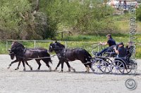 175 A DB 0768    © Daniela und Christian Bittner u.a.    Alle Inhalte auf diesen Webseiten sind urheberrechtlich geschützt. Kein Teil der hier abrufbaren Inhalte darf ohne ausdrückliche schriftliche Erlaubnis des Fotografen reproduziert, gedruckt, übersetzt, in digitaler Form weiterbearbeitet, in Archive übernommen oder Dritten unter einer fremden URL zugänglich gemacht werden.   Fotografen: AE .. A. Esdar, AH .. A. Helmle, CB .. Chr. Bittner, DB .. D. Bittner, LB .. L. Bittner, BB .. B. Boschatzke,   HZ .. H. Ziegelbauer, IM .. I. Maierhöfer, KH .. K. Hauber, LE .. L. Esdar, ME .. M. Esdar, MEr .. M. Erhard,   RM .. R. Maierhöfer, SD .. S. Demchuk, TS .. T. Spaag-Wagner, UL .. U. Ladenburger, JW .. J. Wecker, EB .. E. Boschatzke,   JA .. J. Abele, MW .. Maria Walter, MB .. Manuel Bühler, GG .. Georg Gösele, CBa .. Christoph Bayrle, KZW .. Kathrin Zwerger, PG .. Peter Gösele, CME .. Carmen Müller-Epacher, GB .. Gebhard Bühler, AL .. Alisha Ladenburger, SV .. Susanne Habel-Veit, LV .. Lukas Veit.