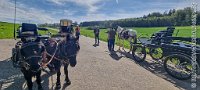 201 A LE 001    © Daniela und Christian Bittner u.a.    Alle Inhalte auf diesen Webseiten sind urheberrechtlich geschützt. Kein Teil der hier abrufbaren Inhalte darf ohne ausdrückliche schriftliche Erlaubnis des Fotografen reproduziert, gedruckt, übersetzt, in digitaler Form weiterbearbeitet, in Archive übernommen oder Dritten unter einer fremden URL zugänglich gemacht werden.   Fotografen: AE .. A. Esdar, AH .. A. Helmle, CB .. Chr. Bittner, DB .. D. Bittner, LB .. L. Bittner, BB .. B. Boschatzke,   HZ .. H. Ziegelbauer, IM .. I. Maierhöfer, KH .. K. Hauber, LE .. L. Esdar, ME .. M. Esdar, MEr .. M. Erhard,   RM .. R. Maierhöfer, SD .. S. Demchuk, TS .. T. Spaag-Wagner, UL .. U. Ladenburger, JW .. J. Wecker, EB .. E. Boschatzke,   JA .. J. Abele, MW .. Maria Walter, MB .. Manuel Bühler, GG .. Georg Gösele, CBa .. Christoph Bayrle, KZW .. Kathrin Zwerger, PG .. Peter Gösele, CME .. Carmen Müller-Epacher, GB .. Gebhard Bühler, AL .. Alisha Ladenburger, SV .. Susanne Habel-Veit, LV .. Lukas Veit.