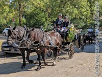 015 A KA 0031    © Daniela und Christian Bittner u.a.    Alle Inhalte auf diesen Webseiten sind urheberrechtlich geschützt. Kein Teil der hier abrufbaren Inhalte darf ohne ausdrückliche schriftliche Erlaubnis des Fotografen reproduziert, gedruckt, übersetzt, in digitaler Form weiterbearbeitet, in Archive übernommen oder Dritten unter einer fremden URL zugänglich gemacht werden.   Fotografen: AE .. A. Esdar, AH .. A. Helmle, CB .. Chr. Bittner, DB .. D. Bittner, LB .. L. Bittner, BB .. B. Boschatzke,   HZ .. H. Ziegelbauer, IM .. I. Maierhöfer, KH .. K. Hauber, LE .. L. Esdar, ME .. M. Esdar, MEr .. M. Erhard,   RM .. R. Maierhöfer, SD .. S. Demchuk, TS .. T. Spaag-Wagner, UL .. U. Ladenburger, JW .. J. Wecker, EB .. E. Boschatzke,   JA .. J. Abele, MW .. Maria Walter, MB .. Manuel Bühler, GG .. Georg Gösele, CBa .. Christoph Bayrle.