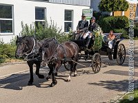 023 A KA 0042    © Daniela und Christian Bittner u.a.    Alle Inhalte auf diesen Webseiten sind urheberrechtlich geschützt. Kein Teil der hier abrufbaren Inhalte darf ohne ausdrückliche schriftliche Erlaubnis des Fotografen reproduziert, gedruckt, übersetzt, in digitaler Form weiterbearbeitet, in Archive übernommen oder Dritten unter einer fremden URL zugänglich gemacht werden.   Fotografen: AE .. A. Esdar, AH .. A. Helmle, CB .. Chr. Bittner, DB .. D. Bittner, LB .. L. Bittner, BB .. B. Boschatzke,   HZ .. H. Ziegelbauer, IM .. I. Maierhöfer, KH .. K. Hauber, LE .. L. Esdar, ME .. M. Esdar, MEr .. M. Erhard,   RM .. R. Maierhöfer, SD .. S. Demchuk, TS .. T. Spaag-Wagner, UL .. U. Ladenburger, JW .. J. Wecker, EB .. E. Boschatzke,   JA .. J. Abele, MW .. Maria Walter, MB .. Manuel Bühler, GG .. Georg Gösele, CBa .. Christoph Bayrle, KZW .. Kathrin Zwerger, PG .. Peter Gösele, CME .. Carmen Müller-Epacher, GB .. Gebhard Bühler, AL .. Alisha Ladenburger, SV .. Susanne Habel-Veit.