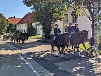 025 A KA 0045    © Daniela und Christian Bittner u.a.    Alle Inhalte auf diesen Webseiten sind urheberrechtlich geschützt. Kein Teil der hier abrufbaren Inhalte darf ohne ausdrückliche schriftliche Erlaubnis des Fotografen reproduziert, gedruckt, übersetzt, in digitaler Form weiterbearbeitet, in Archive übernommen oder Dritten unter einer fremden URL zugänglich gemacht werden.   Fotografen: AE .. A. Esdar, AH .. A. Helmle, CB .. Chr. Bittner, DB .. D. Bittner, LB .. L. Bittner, BB .. B. Boschatzke,   HZ .. H. Ziegelbauer, IM .. I. Maierhöfer, KH .. K. Hauber, LE .. L. Esdar, ME .. M. Esdar, MEr .. M. Erhard,   RM .. R. Maierhöfer, SD .. S. Demchuk, TS .. T. Spaag-Wagner, UL .. U. Ladenburger, JW .. J. Wecker, EB .. E. Boschatzke,   JA .. J. Abele, MW .. Maria Walter, MB .. Manuel Bühler, GG .. Georg Gösele, CBa .. Christoph Bayrle, KZW .. Kathrin Zwerger, PG .. Peter Gösele, CME .. Carmen Müller-Epacher, GB .. Gebhard Bühler, AL .. Alisha Ladenburger, SV .. Susanne Habel-Veit.