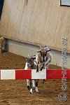 038 A DB 0247    © Daniela und Christian Bittner u.a.    Alle Inhalte auf diesen Webseiten sind urheberrechtlich geschützt. Kein Teil der hier abrufbaren Inhalte darf ohne ausdrückliche schriftliche Erlaubnis des Fotografen reproduziert, gedruckt, übersetzt, in digitaler Form weiterbearbeitet, in Archive übernommen oder Dritten unter einer fremden URL zugänglich gemacht werden.   Fotografen: AE .. A. Esdar, AH .. A. Helmle, CB .. Chr. Bittner, DB .. D. Bittner, LB .. L. Bittner, BB .. B. Boschatzke,   HZ .. H. Ziegelbauer, IM .. I. Maierhöfer, KH .. K. Hauber, LE .. L. Esdar, ME .. M. Esdar, MEr .. M. Erhard,   RM .. R. Maierhöfer, SD .. S. Demchuk, TS .. T. Spaag-Wagner, UL .. U. Ladenburger, JW .. J. Wecker, EB .. E. Boschatzke,   JA .. J. Abele, MW .. Maria Walter, MB .. Manuel Bühler, GG .. Georg Gösele, CBa .. Christoph Bayrle, KZW .. Kathrin Zwerger, PG .. Peter Gösele, CME .. Carmen Müller-Epacher, GB .. Gebhard Bühler, AL .. Alisha Ladenburger, SV .. Susanne Habel-Veit.
