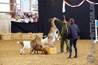 129 A CB 0276    © Daniela und Christian Bittner u.a.    Alle Inhalte auf diesen Webseiten sind urheberrechtlich geschützt. Kein Teil der hier abrufbaren Inhalte darf ohne ausdrückliche schriftliche Erlaubnis des Fotografen reproduziert, gedruckt, übersetzt, in digitaler Form weiterbearbeitet, in Archive übernommen oder Dritten unter einer fremden URL zugänglich gemacht werden.   Fotografen: AE .. A. Esdar, AH .. A. Helmle, CB .. Chr. Bittner, DB .. D. Bittner, LB .. L. Bittner, BB .. B. Boschatzke,   HZ .. H. Ziegelbauer, IM .. I. Maierhöfer, KH .. K. Hauber, LE .. L. Esdar, ME .. M. Esdar, MEr .. M. Erhard,   RM .. R. Maierhöfer, SD .. S. Demchuk, TS .. T. Spaag-Wagner, UL .. U. Ladenburger, JW .. J. Wecker, EB .. E. Boschatzke,   JA .. J. Abele, MW .. Maria Walter, MB .. Manuel Bühler, GG .. Georg Gösele, CBa .. Christoph Bayrle, KZW .. Kathrin Zwerger, PG .. Peter Gösele, CME .. Carmen Müller-Epacher, GB .. Gebhard Bühler, AL .. Alisha Ladenburger, SV .. Susanne Habel-Veit.