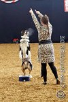 164 A CB 0375    © Daniela und Christian Bittner u.a.    Alle Inhalte auf diesen Webseiten sind urheberrechtlich geschützt. Kein Teil der hier abrufbaren Inhalte darf ohne ausdrückliche schriftliche Erlaubnis des Fotografen reproduziert, gedruckt, übersetzt, in digitaler Form weiterbearbeitet, in Archive übernommen oder Dritten unter einer fremden URL zugänglich gemacht werden.   Fotografen: AE .. A. Esdar, AH .. A. Helmle, CB .. Chr. Bittner, DB .. D. Bittner, LB .. L. Bittner, BB .. B. Boschatzke,   HZ .. H. Ziegelbauer, IM .. I. Maierhöfer, KH .. K. Hauber, LE .. L. Esdar, ME .. M. Esdar, MEr .. M. Erhard,   RM .. R. Maierhöfer, SD .. S. Demchuk, TS .. T. Spaag-Wagner, UL .. U. Ladenburger, JW .. J. Wecker, EB .. E. Boschatzke,   JA .. J. Abele, MW .. Maria Walter, MB .. Manuel Bühler, GG .. Georg Gösele, CBa .. Christoph Bayrle, KZW .. Kathrin Zwerger, PG .. Peter Gösele, CME .. Carmen Müller-Epacher, GB .. Gebhard Bühler, AL .. Alisha Ladenburger, SV .. Susanne Habel-Veit.