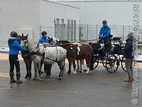 011 A ME 0009    © Daniela und Christian Bittner u.a.    Alle Inhalte auf diesen Webseiten sind urheberrechtlich geschützt. Kein Teil der hier abrufbaren Inhalte darf ohne ausdrückliche schriftliche Erlaubnis des Fotografen reproduziert, gedruckt, übersetzt, in digitaler Form weiterbearbeitet, in Archive übernommen oder Dritten unter einer fremden URL zugänglich gemacht werden.   Fotografen: AE .. A. Esdar, AH .. A. Helmle, CB .. Chr. Bittner, DB .. D. Bittner, LB .. L. Bittner, BB .. B. Boschatzke,   HZ .. H. Ziegelbauer, IM .. I. Maierhöfer, KH .. K. Hauber, LE .. L. Esdar, ME .. M. Esdar, MEr .. M. Erhard,   RM .. R. Maierhöfer, SD .. S. Demchuk, TS .. T. Spaag-Wagner, UL .. U. Ladenburger, JW .. J. Wecker, EB .. E. Boschatzke,   JA .. J. Abele, MW .. Maria Walter, MB .. Manuel Bühler, GG .. Georg Gösele, CBa .. Christoph Bayrle.