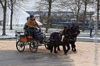 014 A MB 0036    © Daniela und Christian Bittner u.a.    Alle Inhalte auf diesen Webseiten sind urheberrechtlich geschützt. Kein Teil der hier abrufbaren Inhalte darf ohne ausdrückliche schriftliche Erlaubnis des Fotografen reproduziert, gedruckt, übersetzt, in digitaler Form weiterbearbeitet, in Archive übernommen oder Dritten unter einer fremden URL zugänglich gemacht werden.   Fotografen: AE .. A. Esdar, AH .. A. Helmle, CB .. Chr. Bittner, DB .. D. Bittner, LB .. L. Bittner, BB .. B. Boschatzke,   HZ .. H. Ziegelbauer, IM .. I. Maierhöfer, KH .. K. Hauber, LE .. L. Esdar, ME .. M. Esdar, MEr .. M. Erhard,   RM .. R. Maierhöfer, SD .. S. Demchuk, TS .. T. Spaag-Wagner, UL .. U. Ladenburger, JW .. J. Wecker, EB .. E. Boschatzke,   JA .. J. Abele, MW .. Maria Walter, MB .. Manuel Bühler, GG .. Georg Gösele, CBa .. Christoph Bayrle, KZW .. Kathrin Zwerger, PG .. Peter Gösele, CME .. Carmen Müller-Epacher, GB .. Gebhard Bühler, AL .. Alisha Ladenburger, SV .. Susanne Habel-Veit.