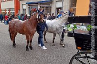 028 A KA 0052    © Daniela und Christian Bittner u.a.    Alle Inhalte auf diesen Webseiten sind urheberrechtlich geschützt. Kein Teil der hier abrufbaren Inhalte darf ohne ausdrückliche schriftliche Erlaubnis des Fotografen reproduziert, gedruckt, übersetzt, in digitaler Form weiterbearbeitet, in Archive übernommen oder Dritten unter einer fremden URL zugänglich gemacht werden.   Fotografen: AE .. A. Esdar, AH .. A. Helmle, CB .. Chr. Bittner, DB .. D. Bittner, LB .. L. Bittner, BB .. B. Boschatzke,   HZ .. H. Ziegelbauer, IM .. I. Maierhöfer, KH .. K. Hauber, LE .. L. Esdar, ME .. M. Esdar, MEr .. M. Erhard,   RM .. R. Maierhöfer, SD .. S. Demchuk, TS .. T. Spaag-Wagner, UL .. U. Ladenburger, JW .. J. Wecker, EB .. E. Boschatzke,   JA .. J. Abele, MW .. Maria Walter, MB .. Manuel Bühler, GG .. Georg Gösele, CBa .. Christoph Bayrle, KZW .. Kathrin Zwerger, PG .. Peter Gösele, CME .. Carmen Müller-Epacher, GB .. Gebhard Bühler, AL .. Alisha Ladenburger, SV .. Susanne Habel-Veit.