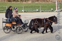 010 A DB 0042    © Daniela und Christian Bittner u.a.    Alle Inhalte auf diesen Webseiten sind urheberrechtlich geschützt. Kein Teil der hier abrufbaren Inhalte darf ohne ausdrückliche schriftliche Erlaubnis des Fotografen reproduziert, gedruckt, übersetzt, in digitaler Form weiterbearbeitet, in Archive übernommen oder Dritten unter einer fremden URL zugänglich gemacht werden.   Fotografen: AE .. A. Esdar, AH .. A. Helmle, CB .. Chr. Bittner, DB .. D. Bittner, LB .. L. Bittner, BB .. B. Boschatzke,   HZ .. H. Ziegelbauer, IM .. I. Maierhöfer, KH .. K. Hauber, LE .. L. Esdar, ME .. M. Esdar, MEr .. M. Erhard,   RM .. R. Maierhöfer, SD .. S. Demchuk, TS .. T. Spaag-Wagner, UL .. U. Ladenburger, JW .. J. Wecker, EB .. E. Boschatzke,   JA .. J. Abele, MW .. Maria Walter, MB .. Manuel Bühler, GG .. Georg Gösele, CBa .. Christoph Bayrle, KZW .. Kathrin Zwerger, PG .. Peter Gösele, CME .. Carmen Müller-Epacher, GB .. Gebhard Bühler, AL .. Alisha Ladenburger, SV .. Susanne Habel-Veit.