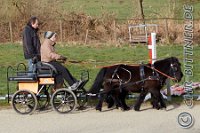 012 A DB 0054    © Daniela und Christian Bittner u.a.    Alle Inhalte auf diesen Webseiten sind urheberrechtlich geschützt. Kein Teil der hier abrufbaren Inhalte darf ohne ausdrückliche schriftliche Erlaubnis des Fotografen reproduziert, gedruckt, übersetzt, in digitaler Form weiterbearbeitet, in Archive übernommen oder Dritten unter einer fremden URL zugänglich gemacht werden.   Fotografen: AE .. A. Esdar, AH .. A. Helmle, CB .. Chr. Bittner, DB .. D. Bittner, LB .. L. Bittner, BB .. B. Boschatzke,   HZ .. H. Ziegelbauer, IM .. I. Maierhöfer, KH .. K. Hauber, LE .. L. Esdar, ME .. M. Esdar, MEr .. M. Erhard,   RM .. R. Maierhöfer, SD .. S. Demchuk, TS .. T. Spaag-Wagner, UL .. U. Ladenburger, JW .. J. Wecker, EB .. E. Boschatzke,   JA .. J. Abele, MW .. Maria Walter, MB .. Manuel Bühler, GG .. Georg Gösele, CBa .. Christoph Bayrle, KZW .. Kathrin Zwerger, PG .. Peter Gösele, CME .. Carmen Müller-Epacher, GB .. Gebhard Bühler, AL .. Alisha Ladenburger, SV .. Susanne Habel-Veit.
