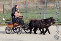 016 A DB 0066    © Daniela und Christian Bittner u.a.    Alle Inhalte auf diesen Webseiten sind urheberrechtlich geschützt. Kein Teil der hier abrufbaren Inhalte darf ohne ausdrückliche schriftliche Erlaubnis des Fotografen reproduziert, gedruckt, übersetzt, in digitaler Form weiterbearbeitet, in Archive übernommen oder Dritten unter einer fremden URL zugänglich gemacht werden.   Fotografen: AE .. A. Esdar, AH .. A. Helmle, CB .. Chr. Bittner, DB .. D. Bittner, LB .. L. Bittner, BB .. B. Boschatzke,   HZ .. H. Ziegelbauer, IM .. I. Maierhöfer, KH .. K. Hauber, LE .. L. Esdar, ME .. M. Esdar, MEr .. M. Erhard,   RM .. R. Maierhöfer, SD .. S. Demchuk, TS .. T. Spaag-Wagner, UL .. U. Ladenburger, JW .. J. Wecker, EB .. E. Boschatzke,   JA .. J. Abele, MW .. Maria Walter, MB .. Manuel Bühler, GG .. Georg Gösele, CBa .. Christoph Bayrle, KZW .. Kathrin Zwerger, PG .. Peter Gösele, CME .. Carmen Müller-Epacher, GB .. Gebhard Bühler, AL .. Alisha Ladenburger, SV .. Susanne Habel-Veit.
