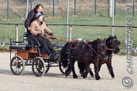 017 A DB 0068    © Daniela und Christian Bittner u.a.    Alle Inhalte auf diesen Webseiten sind urheberrechtlich geschützt. Kein Teil der hier abrufbaren Inhalte darf ohne ausdrückliche schriftliche Erlaubnis des Fotografen reproduziert, gedruckt, übersetzt, in digitaler Form weiterbearbeitet, in Archive übernommen oder Dritten unter einer fremden URL zugänglich gemacht werden.   Fotografen: AE .. A. Esdar, AH .. A. Helmle, CB .. Chr. Bittner, DB .. D. Bittner, LB .. L. Bittner, BB .. B. Boschatzke,   HZ .. H. Ziegelbauer, IM .. I. Maierhöfer, KH .. K. Hauber, LE .. L. Esdar, ME .. M. Esdar, MEr .. M. Erhard,   RM .. R. Maierhöfer, SD .. S. Demchuk, TS .. T. Spaag-Wagner, UL .. U. Ladenburger, JW .. J. Wecker, EB .. E. Boschatzke,   JA .. J. Abele, MW .. Maria Walter, MB .. Manuel Bühler, GG .. Georg Gösele, CBa .. Christoph Bayrle, KZW .. Kathrin Zwerger, PG .. Peter Gösele, CME .. Carmen Müller-Epacher, GB .. Gebhard Bühler, AL .. Alisha Ladenburger, SV .. Susanne Habel-Veit.