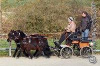 028 A DB 0144    © Daniela und Christian Bittner u.a.    Alle Inhalte auf diesen Webseiten sind urheberrechtlich geschützt. Kein Teil der hier abrufbaren Inhalte darf ohne ausdrückliche schriftliche Erlaubnis des Fotografen reproduziert, gedruckt, übersetzt, in digitaler Form weiterbearbeitet, in Archive übernommen oder Dritten unter einer fremden URL zugänglich gemacht werden.   Fotografen: AE .. A. Esdar, AH .. A. Helmle, CB .. Chr. Bittner, DB .. D. Bittner, LB .. L. Bittner, BB .. B. Boschatzke,   HZ .. H. Ziegelbauer, IM .. I. Maierhöfer, KH .. K. Hauber, LE .. L. Esdar, ME .. M. Esdar, MEr .. M. Erhard,   RM .. R. Maierhöfer, SD .. S. Demchuk, TS .. T. Spaag-Wagner, UL .. U. Ladenburger, JW .. J. Wecker, EB .. E. Boschatzke,   JA .. J. Abele, MW .. Maria Walter, MB .. Manuel Bühler, GG .. Georg Gösele, CBa .. Christoph Bayrle, KZW .. Kathrin Zwerger, PG .. Peter Gösele, CME .. Carmen Müller-Epacher, GB .. Gebhard Bühler, AL .. Alisha Ladenburger, SV .. Susanne Habel-Veit.