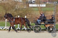 036 A DB 0189    © Daniela und Christian Bittner u.a.    Alle Inhalte auf diesen Webseiten sind urheberrechtlich geschützt. Kein Teil der hier abrufbaren Inhalte darf ohne ausdrückliche schriftliche Erlaubnis des Fotografen reproduziert, gedruckt, übersetzt, in digitaler Form weiterbearbeitet, in Archive übernommen oder Dritten unter einer fremden URL zugänglich gemacht werden.   Fotografen: AE .. A. Esdar, AH .. A. Helmle, CB .. Chr. Bittner, DB .. D. Bittner, LB .. L. Bittner, BB .. B. Boschatzke,   HZ .. H. Ziegelbauer, IM .. I. Maierhöfer, KH .. K. Hauber, LE .. L. Esdar, ME .. M. Esdar, MEr .. M. Erhard,   RM .. R. Maierhöfer, SD .. S. Demchuk, TS .. T. Spaag-Wagner, UL .. U. Ladenburger, JW .. J. Wecker, EB .. E. Boschatzke,   JA .. J. Abele, MW .. Maria Walter, MB .. Manuel Bühler, GG .. Georg Gösele, CBa .. Christoph Bayrle.