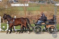 039 A DB 0200    © Daniela und Christian Bittner u.a.    Alle Inhalte auf diesen Webseiten sind urheberrechtlich geschützt. Kein Teil der hier abrufbaren Inhalte darf ohne ausdrückliche schriftliche Erlaubnis des Fotografen reproduziert, gedruckt, übersetzt, in digitaler Form weiterbearbeitet, in Archive übernommen oder Dritten unter einer fremden URL zugänglich gemacht werden.   Fotografen: AE .. A. Esdar, AH .. A. Helmle, CB .. Chr. Bittner, DB .. D. Bittner, LB .. L. Bittner, BB .. B. Boschatzke,   HZ .. H. Ziegelbauer, IM .. I. Maierhöfer, KH .. K. Hauber, LE .. L. Esdar, ME .. M. Esdar, MEr .. M. Erhard,   RM .. R. Maierhöfer, SD .. S. Demchuk, TS .. T. Spaag-Wagner, UL .. U. Ladenburger, JW .. J. Wecker, EB .. E. Boschatzke,   JA .. J. Abele, MW .. Maria Walter, MB .. Manuel Bühler, GG .. Georg Gösele, CBa .. Christoph Bayrle, KZW .. Kathrin Zwerger, PG .. Peter Gösele, CME .. Carmen Müller-Epacher, GB .. Gebhard Bühler, AL .. Alisha Ladenburger, SV .. Susanne Habel-Veit.
