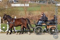 039 A DB 0200    © Daniela und Christian Bittner u.a.    Alle Inhalte auf diesen Webseiten sind urheberrechtlich geschützt. Kein Teil der hier abrufbaren Inhalte darf ohne ausdrückliche schriftliche Erlaubnis des Fotografen reproduziert, gedruckt, übersetzt, in digitaler Form weiterbearbeitet, in Archive übernommen oder Dritten unter einer fremden URL zugänglich gemacht werden.   Fotografen: AE .. A. Esdar, AH .. A. Helmle, CB .. Chr. Bittner, DB .. D. Bittner, LB .. L. Bittner, BB .. B. Boschatzke,   HZ .. H. Ziegelbauer, IM .. I. Maierhöfer, KH .. K. Hauber, LE .. L. Esdar, ME .. M. Esdar, MEr .. M. Erhard,   RM .. R. Maierhöfer, SD .. S. Demchuk, TS .. T. Spaag-Wagner, UL .. U. Ladenburger, JW .. J. Wecker, EB .. E. Boschatzke,   JA .. J. Abele, MW .. Maria Walter, MB .. Manuel Bühler, GG .. Georg Gösele, CBa .. Christoph Bayrle.