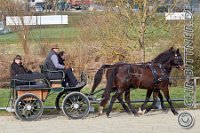 054 A DB 0291    © Daniela und Christian Bittner u.a.    Alle Inhalte auf diesen Webseiten sind urheberrechtlich geschützt. Kein Teil der hier abrufbaren Inhalte darf ohne ausdrückliche schriftliche Erlaubnis des Fotografen reproduziert, gedruckt, übersetzt, in digitaler Form weiterbearbeitet, in Archive übernommen oder Dritten unter einer fremden URL zugänglich gemacht werden.   Fotografen: AE .. A. Esdar, AH .. A. Helmle, CB .. Chr. Bittner, DB .. D. Bittner, LB .. L. Bittner, BB .. B. Boschatzke,   HZ .. H. Ziegelbauer, IM .. I. Maierhöfer, KH .. K. Hauber, LE .. L. Esdar, ME .. M. Esdar, MEr .. M. Erhard,   RM .. R. Maierhöfer, SD .. S. Demchuk, TS .. T. Spaag-Wagner, UL .. U. Ladenburger, JW .. J. Wecker, EB .. E. Boschatzke,   JA .. J. Abele, MW .. Maria Walter, MB .. Manuel Bühler, GG .. Georg Gösele, CBa .. Christoph Bayrle, KZW .. Kathrin Zwerger, PG .. Peter Gösele, CME .. Carmen Müller-Epacher, GB .. Gebhard Bühler, AL .. Alisha Ladenburger, SV .. Susanne Habel-Veit.