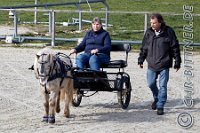 066 A DB 0372    © Daniela und Christian Bittner u.a.    Alle Inhalte auf diesen Webseiten sind urheberrechtlich geschützt. Kein Teil der hier abrufbaren Inhalte darf ohne ausdrückliche schriftliche Erlaubnis des Fotografen reproduziert, gedruckt, übersetzt, in digitaler Form weiterbearbeitet, in Archive übernommen oder Dritten unter einer fremden URL zugänglich gemacht werden.   Fotografen: AE .. A. Esdar, AH .. A. Helmle, CB .. Chr. Bittner, DB .. D. Bittner, LB .. L. Bittner, BB .. B. Boschatzke,   HZ .. H. Ziegelbauer, IM .. I. Maierhöfer, KH .. K. Hauber, LE .. L. Esdar, ME .. M. Esdar, MEr .. M. Erhard,   RM .. R. Maierhöfer, SD .. S. Demchuk, TS .. T. Spaag-Wagner, UL .. U. Ladenburger, JW .. J. Wecker, EB .. E. Boschatzke,   JA .. J. Abele, MW .. Maria Walter, MB .. Manuel Bühler, GG .. Georg Gösele, CBa .. Christoph Bayrle, KZW .. Kathrin Zwerger, PG .. Peter Gösele, CME .. Carmen Müller-Epacher, GB .. Gebhard Bühler, AL .. Alisha Ladenburger, SV .. Susanne Habel-Veit.