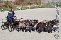 079 A DB 0439    © Daniela und Christian Bittner u.a.    Alle Inhalte auf diesen Webseiten sind urheberrechtlich geschützt. Kein Teil der hier abrufbaren Inhalte darf ohne ausdrückliche schriftliche Erlaubnis des Fotografen reproduziert, gedruckt, übersetzt, in digitaler Form weiterbearbeitet, in Archive übernommen oder Dritten unter einer fremden URL zugänglich gemacht werden.   Fotografen: AE .. A. Esdar, AH .. A. Helmle, CB .. Chr. Bittner, DB .. D. Bittner, LB .. L. Bittner, BB .. B. Boschatzke,   HZ .. H. Ziegelbauer, IM .. I. Maierhöfer, KH .. K. Hauber, LE .. L. Esdar, ME .. M. Esdar, MEr .. M. Erhard,   RM .. R. Maierhöfer, SD .. S. Demchuk, TS .. T. Spaag-Wagner, UL .. U. Ladenburger, JW .. J. Wecker, EB .. E. Boschatzke,   JA .. J. Abele, MW .. Maria Walter, MB .. Manuel Bühler, GG .. Georg Gösele, CBa .. Christoph Bayrle, KZW .. Kathrin Zwerger, PG .. Peter Gösele, CME .. Carmen Müller-Epacher, GB .. Gebhard Bühler, AL .. Alisha Ladenburger, SV .. Susanne Habel-Veit.