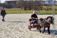 140 A DB 0747    © Daniela und Christian Bittner u.a.    Alle Inhalte auf diesen Webseiten sind urheberrechtlich geschützt. Kein Teil der hier abrufbaren Inhalte darf ohne ausdrückliche schriftliche Erlaubnis des Fotografen reproduziert, gedruckt, übersetzt, in digitaler Form weiterbearbeitet, in Archive übernommen oder Dritten unter einer fremden URL zugänglich gemacht werden.   Fotografen: AE .. A. Esdar, AH .. A. Helmle, CB .. Chr. Bittner, DB .. D. Bittner, LB .. L. Bittner, BB .. B. Boschatzke,   HZ .. H. Ziegelbauer, IM .. I. Maierhöfer, KH .. K. Hauber, LE .. L. Esdar, ME .. M. Esdar, MEr .. M. Erhard,   RM .. R. Maierhöfer, SD .. S. Demchuk, TS .. T. Spaag-Wagner, UL .. U. Ladenburger, JW .. J. Wecker, EB .. E. Boschatzke,   JA .. J. Abele, MW .. Maria Walter, MB .. Manuel Bühler, GG .. Georg Gösele, CBa .. Christoph Bayrle, KZW .. Kathrin Zwerger, PG .. Peter Gösele, CME .. Carmen Müller-Epacher, GB .. Gebhard Bühler, AL .. Alisha Ladenburger, SV .. Susanne Habel-Veit.