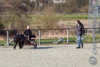 146 A DB 0779    © Daniela und Christian Bittner u.a.    Alle Inhalte auf diesen Webseiten sind urheberrechtlich geschützt. Kein Teil der hier abrufbaren Inhalte darf ohne ausdrückliche schriftliche Erlaubnis des Fotografen reproduziert, gedruckt, übersetzt, in digitaler Form weiterbearbeitet, in Archive übernommen oder Dritten unter einer fremden URL zugänglich gemacht werden.   Fotografen: AE .. A. Esdar, AH .. A. Helmle, CB .. Chr. Bittner, DB .. D. Bittner, LB .. L. Bittner, BB .. B. Boschatzke,   HZ .. H. Ziegelbauer, IM .. I. Maierhöfer, KH .. K. Hauber, LE .. L. Esdar, ME .. M. Esdar, MEr .. M. Erhard,   RM .. R. Maierhöfer, SD .. S. Demchuk, TS .. T. Spaag-Wagner, UL .. U. Ladenburger, JW .. J. Wecker, EB .. E. Boschatzke,   JA .. J. Abele, MW .. Maria Walter, MB .. Manuel Bühler, GG .. Georg Gösele, CBa .. Christoph Bayrle, KZW .. Kathrin Zwerger, PG .. Peter Gösele, CME .. Carmen Müller-Epacher, GB .. Gebhard Bühler, AL .. Alisha Ladenburger, SV .. Susanne Habel-Veit.