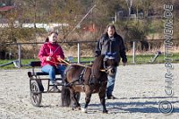 152 A DB 0810    © Daniela und Christian Bittner u.a.    Alle Inhalte auf diesen Webseiten sind urheberrechtlich geschützt. Kein Teil der hier abrufbaren Inhalte darf ohne ausdrückliche schriftliche Erlaubnis des Fotografen reproduziert, gedruckt, übersetzt, in digitaler Form weiterbearbeitet, in Archive übernommen oder Dritten unter einer fremden URL zugänglich gemacht werden.   Fotografen: AE .. A. Esdar, AH .. A. Helmle, CB .. Chr. Bittner, DB .. D. Bittner, LB .. L. Bittner, BB .. B. Boschatzke,   HZ .. H. Ziegelbauer, IM .. I. Maierhöfer, KH .. K. Hauber, LE .. L. Esdar, ME .. M. Esdar, MEr .. M. Erhard,   RM .. R. Maierhöfer, SD .. S. Demchuk, TS .. T. Spaag-Wagner, UL .. U. Ladenburger, JW .. J. Wecker, EB .. E. Boschatzke,   JA .. J. Abele, MW .. Maria Walter, MB .. Manuel Bühler, GG .. Georg Gösele, CBa .. Christoph Bayrle, KZW .. Kathrin Zwerger, PG .. Peter Gösele, CME .. Carmen Müller-Epacher, GB .. Gebhard Bühler, AL .. Alisha Ladenburger, SV .. Susanne Habel-Veit.