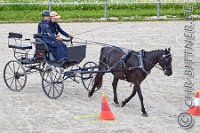 152 A DB 0715    © Daniela und Christian Bittner u.a.    Alle Inhalte auf diesen Webseiten sind urheberrechtlich geschützt. Kein Teil der hier abrufbaren Inhalte darf ohne ausdrückliche schriftliche Erlaubnis des Fotografen reproduziert, gedruckt, übersetzt, in digitaler Form weiterbearbeitet, in Archive übernommen oder Dritten unter einer fremden URL zugänglich gemacht werden.   Fotografen: AE .. A. Esdar, AH .. A. Helmle, CB .. Chr. Bittner, DB .. D. Bittner, LB .. L. Bittner, BB .. B. Boschatzke,   HZ .. H. Ziegelbauer, IM .. I. Maierhöfer, KH .. K. Hauber, LE .. L. Esdar, ME .. M. Esdar, MEr .. M. Erhard,   RM .. R. Maierhöfer, SD .. S. Demchuk, TS .. T. Spaag-Wagner, UL .. U. Ladenburger, JW .. J. Wecker, EB .. E. Boschatzke,   JA .. J. Abele, MW .. Maria Walter, MB .. Manuel Bühler, GG .. Georg Gösele, CBa .. Christoph Bayrle, KZW .. Kathrin Zwerger, PG .. Peter Gösele, CME .. Carmen Müller-Epacher, GB .. Gebhard Bühler, AL .. Alisha Ladenburger, SV .. Susanne Habel-Veit, LV .. Lukas Veit.