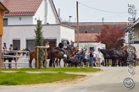 080 B DB 0092    © Daniela und Christian Bittner u.a.    Alle Inhalte auf diesen Webseiten sind urheberrechtlich geschützt. Kein Teil der hier abrufbaren Inhalte darf ohne ausdrückliche schriftliche Erlaubnis des Fotografen reproduziert, gedruckt, übersetzt, in digitaler Form weiterbearbeitet, in Archive übernommen oder Dritten unter einer fremden URL zugänglich gemacht werden.   Fotografen: AE .. A. Esdar, AH .. A. Helmle, CB .. Chr. Bittner, DB .. D. Bittner, LB .. L. Bittner, BB .. B. Boschatzke,   HZ .. H. Ziegelbauer, IM .. I. Maierhöfer, KH .. K. Hauber, LE .. L. Esdar, ME .. M. Esdar, MEr .. M. Erhard,   RM .. R. Maierhöfer, SD .. S. Demchuk, TS .. T. Spaag-Wagner, UL .. U. Ladenburger, JW .. J. Wecker, EB .. E. Boschatzke,   JA .. J. Abele, MW .. Maria Walter, MB .. Manuel Bühler, GG .. Georg Gösele, CBa .. Christoph Bayrle, KZW .. Kathrin Zwerger, PG .. Peter Gösele, CME .. Carmen Müller-Epacher, GB .. Gebhard Bühler, AL .. Alisha Ladenburger, SV .. Susanne Habel-Veit, LV .. Lukas Veit.