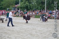 191 A LB 0438    © Daniela und Christian Bittner u.a.    Alle Inhalte auf diesen Webseiten sind urheberrechtlich geschützt. Kein Teil der hier abrufbaren Inhalte darf ohne ausdrückliche schriftliche Erlaubnis des Fotografen reproduziert, gedruckt, übersetzt, in digitaler Form weiterbearbeitet, in Archive übernommen oder Dritten unter einer fremden URL zugänglich gemacht werden.   Fotografen: AE .. A. Esdar, AH .. A. Helmle, CB .. Chr. Bittner, DB .. D. Bittner, LB .. L. Bittner, BB .. B. Boschatzke,   HZ .. H. Ziegelbauer, IM .. I. Maierhöfer, KH .. K. Hauber, LE .. L. Esdar, ME .. M. Esdar, MEr .. M. Erhard,   RM .. R. Maierhöfer, SD .. S. Demchuk, TS .. T. Spaag-Wagner, UL .. U. Ladenburger, JW .. J. Wecker, EB .. E. Boschatzke,   JA .. J. Abele, MW .. Maria Walter, MB .. Manuel Bühler, GG .. Georg Gösele, CBa .. Christoph Bayrle, KZW .. Kathrin Zwerger, PG .. Peter Gösele, CME .. Carmen Müller-Epacher, GB .. Gebhard Bühler, AL .. Alisha Ladenburger, SV .. Susanne Habel-Veit.