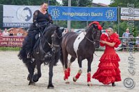 200 A LB 0462    © Daniela und Christian Bittner u.a.    Alle Inhalte auf diesen Webseiten sind urheberrechtlich geschützt. Kein Teil der hier abrufbaren Inhalte darf ohne ausdrückliche schriftliche Erlaubnis des Fotografen reproduziert, gedruckt, übersetzt, in digitaler Form weiterbearbeitet, in Archive übernommen oder Dritten unter einer fremden URL zugänglich gemacht werden.   Fotografen: AE .. A. Esdar, AH .. A. Helmle, CB .. Chr. Bittner, DB .. D. Bittner, LB .. L. Bittner, BB .. B. Boschatzke,   HZ .. H. Ziegelbauer, IM .. I. Maierhöfer, KH .. K. Hauber, LE .. L. Esdar, ME .. M. Esdar, MEr .. M. Erhard,   RM .. R. Maierhöfer, SD .. S. Demchuk, TS .. T. Spaag-Wagner, UL .. U. Ladenburger, JW .. J. Wecker, EB .. E. Boschatzke,   JA .. J. Abele, MW .. Maria Walter, MB .. Manuel Bühler, GG .. Georg Gösele, CBa .. Christoph Bayrle, KZW .. Kathrin Zwerger, PG .. Peter Gösele, CME .. Carmen Müller-Epacher, GB .. Gebhard Bühler, AL .. Alisha Ladenburger, SV .. Susanne Habel-Veit, LV .. Lukas Veit.