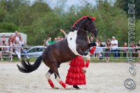 214 A CB 0284    © Daniela und Christian Bittner u.a.    Alle Inhalte auf diesen Webseiten sind urheberrechtlich geschützt. Kein Teil der hier abrufbaren Inhalte darf ohne ausdrückliche schriftliche Erlaubnis des Fotografen reproduziert, gedruckt, übersetzt, in digitaler Form weiterbearbeitet, in Archive übernommen oder Dritten unter einer fremden URL zugänglich gemacht werden.   Fotografen: AE .. A. Esdar, AH .. A. Helmle, CB .. Chr. Bittner, DB .. D. Bittner, LB .. L. Bittner, BB .. B. Boschatzke,   HZ .. H. Ziegelbauer, IM .. I. Maierhöfer, KH .. K. Hauber, LE .. L. Esdar, ME .. M. Esdar, MEr .. M. Erhard,   RM .. R. Maierhöfer, SD .. S. Demchuk, TS .. T. Spaag-Wagner, UL .. U. Ladenburger, JW .. J. Wecker, EB .. E. Boschatzke,   JA .. J. Abele, MW .. Maria Walter, MB .. Manuel Bühler, GG .. Georg Gösele, CBa .. Christoph Bayrle, KZW .. Kathrin Zwerger, PG .. Peter Gösele, CME .. Carmen Müller-Epacher, GB .. Gebhard Bühler, AL .. Alisha Ladenburger, SV .. Susanne Habel-Veit, LV .. Lukas Veit.