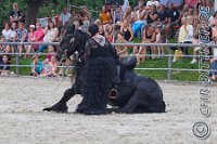 220 A LB 0504    © Daniela und Christian Bittner u.a.    Alle Inhalte auf diesen Webseiten sind urheberrechtlich geschützt. Kein Teil der hier abrufbaren Inhalte darf ohne ausdrückliche schriftliche Erlaubnis des Fotografen reproduziert, gedruckt, übersetzt, in digitaler Form weiterbearbeitet, in Archive übernommen oder Dritten unter einer fremden URL zugänglich gemacht werden.   Fotografen: AE .. A. Esdar, AH .. A. Helmle, CB .. Chr. Bittner, DB .. D. Bittner, LB .. L. Bittner, BB .. B. Boschatzke,   HZ .. H. Ziegelbauer, IM .. I. Maierhöfer, KH .. K. Hauber, LE .. L. Esdar, ME .. M. Esdar, MEr .. M. Erhard,   RM .. R. Maierhöfer, SD .. S. Demchuk, TS .. T. Spaag-Wagner, UL .. U. Ladenburger, JW .. J. Wecker, EB .. E. Boschatzke,   JA .. J. Abele, MW .. Maria Walter, MB .. Manuel Bühler, GG .. Georg Gösele, CBa .. Christoph Bayrle, KZW .. Kathrin Zwerger, PG .. Peter Gösele, CME .. Carmen Müller-Epacher, GB .. Gebhard Bühler, AL .. Alisha Ladenburger, SV .. Susanne Habel-Veit, LV .. Lukas Veit.