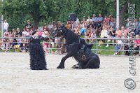 222 A LB 0512    © Daniela und Christian Bittner u.a.    Alle Inhalte auf diesen Webseiten sind urheberrechtlich geschützt. Kein Teil der hier abrufbaren Inhalte darf ohne ausdrückliche schriftliche Erlaubnis des Fotografen reproduziert, gedruckt, übersetzt, in digitaler Form weiterbearbeitet, in Archive übernommen oder Dritten unter einer fremden URL zugänglich gemacht werden.   Fotografen: AE .. A. Esdar, AH .. A. Helmle, CB .. Chr. Bittner, DB .. D. Bittner, LB .. L. Bittner, BB .. B. Boschatzke,   HZ .. H. Ziegelbauer, IM .. I. Maierhöfer, KH .. K. Hauber, LE .. L. Esdar, ME .. M. Esdar, MEr .. M. Erhard,   RM .. R. Maierhöfer, SD .. S. Demchuk, TS .. T. Spaag-Wagner, UL .. U. Ladenburger, JW .. J. Wecker, EB .. E. Boschatzke,   JA .. J. Abele, MW .. Maria Walter, MB .. Manuel Bühler, GG .. Georg Gösele, CBa .. Christoph Bayrle, KZW .. Kathrin Zwerger, PG .. Peter Gösele, CME .. Carmen Müller-Epacher, GB .. Gebhard Bühler, AL .. Alisha Ladenburger, SV .. Susanne Habel-Veit, LV .. Lukas Veit.