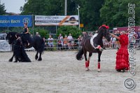 226 A LB 0521    © Daniela und Christian Bittner u.a.    Alle Inhalte auf diesen Webseiten sind urheberrechtlich geschützt. Kein Teil der hier abrufbaren Inhalte darf ohne ausdrückliche schriftliche Erlaubnis des Fotografen reproduziert, gedruckt, übersetzt, in digitaler Form weiterbearbeitet, in Archive übernommen oder Dritten unter einer fremden URL zugänglich gemacht werden.   Fotografen: AE .. A. Esdar, AH .. A. Helmle, CB .. Chr. Bittner, DB .. D. Bittner, LB .. L. Bittner, BB .. B. Boschatzke,   HZ .. H. Ziegelbauer, IM .. I. Maierhöfer, KH .. K. Hauber, LE .. L. Esdar, ME .. M. Esdar, MEr .. M. Erhard,   RM .. R. Maierhöfer, SD .. S. Demchuk, TS .. T. Spaag-Wagner, UL .. U. Ladenburger, JW .. J. Wecker, EB .. E. Boschatzke,   JA .. J. Abele, MW .. Maria Walter, MB .. Manuel Bühler, GG .. Georg Gösele, CBa .. Christoph Bayrle, KZW .. Kathrin Zwerger, PG .. Peter Gösele, CME .. Carmen Müller-Epacher, GB .. Gebhard Bühler, AL .. Alisha Ladenburger, SV .. Susanne Habel-Veit, LV .. Lukas Veit.