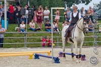08 Working Equitation