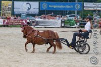 348 A LB 0957    © Daniela und Christian Bittner u.a.    Alle Inhalte auf diesen Webseiten sind urheberrechtlich geschützt. Kein Teil der hier abrufbaren Inhalte darf ohne ausdrückliche schriftliche Erlaubnis des Fotografen reproduziert, gedruckt, übersetzt, in digitaler Form weiterbearbeitet, in Archive übernommen oder Dritten unter einer fremden URL zugänglich gemacht werden.   Fotografen: AE .. A. Esdar, AH .. A. Helmle, CB .. Chr. Bittner, DB .. D. Bittner, LB .. L. Bittner, BB .. B. Boschatzke,   HZ .. H. Ziegelbauer, IM .. I. Maierhöfer, KH .. K. Hauber, LE .. L. Esdar, ME .. M. Esdar, MEr .. M. Erhard,   RM .. R. Maierhöfer, SD .. S. Demchuk, TS .. T. Spaag-Wagner, UL .. U. Ladenburger, JW .. J. Wecker, EB .. E. Boschatzke,   JA .. J. Abele, MW .. Maria Walter, MB .. Manuel Bühler, GG .. Georg Gösele, CBa .. Christoph Bayrle, KZW .. Kathrin Zwerger, PG .. Peter Gösele, CME .. Carmen Müller-Epacher, GB .. Gebhard Bühler, AL .. Alisha Ladenburger, SV .. Susanne Habel-Veit.