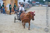 371 A LB 1041    © Daniela und Christian Bittner u.a.    Alle Inhalte auf diesen Webseiten sind urheberrechtlich geschützt. Kein Teil der hier abrufbaren Inhalte darf ohne ausdrückliche schriftliche Erlaubnis des Fotografen reproduziert, gedruckt, übersetzt, in digitaler Form weiterbearbeitet, in Archive übernommen oder Dritten unter einer fremden URL zugänglich gemacht werden.   Fotografen: AE .. A. Esdar, AH .. A. Helmle, CB .. Chr. Bittner, DB .. D. Bittner, LB .. L. Bittner, BB .. B. Boschatzke,   HZ .. H. Ziegelbauer, IM .. I. Maierhöfer, KH .. K. Hauber, LE .. L. Esdar, ME .. M. Esdar, MEr .. M. Erhard,   RM .. R. Maierhöfer, SD .. S. Demchuk, TS .. T. Spaag-Wagner, UL .. U. Ladenburger, JW .. J. Wecker, EB .. E. Boschatzke,   JA .. J. Abele, MW .. Maria Walter, MB .. Manuel Bühler, GG .. Georg Gösele, CBa .. Christoph Bayrle, KZW .. Kathrin Zwerger, PG .. Peter Gösele, CME .. Carmen Müller-Epacher, GB .. Gebhard Bühler, AL .. Alisha Ladenburger, SV .. Susanne Habel-Veit.