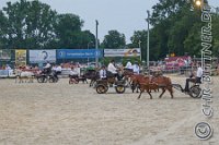 374 A LB 1049    © Daniela und Christian Bittner u.a.    Alle Inhalte auf diesen Webseiten sind urheberrechtlich geschützt. Kein Teil der hier abrufbaren Inhalte darf ohne ausdrückliche schriftliche Erlaubnis des Fotografen reproduziert, gedruckt, übersetzt, in digitaler Form weiterbearbeitet, in Archive übernommen oder Dritten unter einer fremden URL zugänglich gemacht werden.   Fotografen: AE .. A. Esdar, AH .. A. Helmle, CB .. Chr. Bittner, DB .. D. Bittner, LB .. L. Bittner, BB .. B. Boschatzke,   HZ .. H. Ziegelbauer, IM .. I. Maierhöfer, KH .. K. Hauber, LE .. L. Esdar, ME .. M. Esdar, MEr .. M. Erhard,   RM .. R. Maierhöfer, SD .. S. Demchuk, TS .. T. Spaag-Wagner, UL .. U. Ladenburger, JW .. J. Wecker, EB .. E. Boschatzke,   JA .. J. Abele, MW .. Maria Walter, MB .. Manuel Bühler, GG .. Georg Gösele, CBa .. Christoph Bayrle, KZW .. Kathrin Zwerger, PG .. Peter Gösele, CME .. Carmen Müller-Epacher, GB .. Gebhard Bühler, AL .. Alisha Ladenburger, SV .. Susanne Habel-Veit.