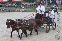 378 A LB 1062    © Daniela und Christian Bittner u.a.    Alle Inhalte auf diesen Webseiten sind urheberrechtlich geschützt. Kein Teil der hier abrufbaren Inhalte darf ohne ausdrückliche schriftliche Erlaubnis des Fotografen reproduziert, gedruckt, übersetzt, in digitaler Form weiterbearbeitet, in Archive übernommen oder Dritten unter einer fremden URL zugänglich gemacht werden.   Fotografen: AE .. A. Esdar, AH .. A. Helmle, CB .. Chr. Bittner, DB .. D. Bittner, LB .. L. Bittner, BB .. B. Boschatzke,   HZ .. H. Ziegelbauer, IM .. I. Maierhöfer, KH .. K. Hauber, LE .. L. Esdar, ME .. M. Esdar, MEr .. M. Erhard,   RM .. R. Maierhöfer, SD .. S. Demchuk, TS .. T. Spaag-Wagner, UL .. U. Ladenburger, JW .. J. Wecker, EB .. E. Boschatzke,   JA .. J. Abele, MW .. Maria Walter, MB .. Manuel Bühler, GG .. Georg Gösele, CBa .. Christoph Bayrle, KZW .. Kathrin Zwerger, PG .. Peter Gösele, CME .. Carmen Müller-Epacher, GB .. Gebhard Bühler, AL .. Alisha Ladenburger, SV .. Susanne Habel-Veit.