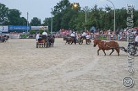 387 A LB 1098    © Daniela und Christian Bittner u.a.    Alle Inhalte auf diesen Webseiten sind urheberrechtlich geschützt. Kein Teil der hier abrufbaren Inhalte darf ohne ausdrückliche schriftliche Erlaubnis des Fotografen reproduziert, gedruckt, übersetzt, in digitaler Form weiterbearbeitet, in Archive übernommen oder Dritten unter einer fremden URL zugänglich gemacht werden.   Fotografen: AE .. A. Esdar, AH .. A. Helmle, CB .. Chr. Bittner, DB .. D. Bittner, LB .. L. Bittner, BB .. B. Boschatzke,   HZ .. H. Ziegelbauer, IM .. I. Maierhöfer, KH .. K. Hauber, LE .. L. Esdar, ME .. M. Esdar, MEr .. M. Erhard,   RM .. R. Maierhöfer, SD .. S. Demchuk, TS .. T. Spaag-Wagner, UL .. U. Ladenburger, JW .. J. Wecker, EB .. E. Boschatzke,   JA .. J. Abele, MW .. Maria Walter, MB .. Manuel Bühler, GG .. Georg Gösele, CBa .. Christoph Bayrle, KZW .. Kathrin Zwerger, PG .. Peter Gösele, CME .. Carmen Müller-Epacher, GB .. Gebhard Bühler, AL .. Alisha Ladenburger, SV .. Susanne Habel-Veit.