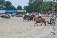 388 A LB 1099    © Daniela und Christian Bittner u.a.    Alle Inhalte auf diesen Webseiten sind urheberrechtlich geschützt. Kein Teil der hier abrufbaren Inhalte darf ohne ausdrückliche schriftliche Erlaubnis des Fotografen reproduziert, gedruckt, übersetzt, in digitaler Form weiterbearbeitet, in Archive übernommen oder Dritten unter einer fremden URL zugänglich gemacht werden.   Fotografen: AE .. A. Esdar, AH .. A. Helmle, CB .. Chr. Bittner, DB .. D. Bittner, LB .. L. Bittner, BB .. B. Boschatzke,   HZ .. H. Ziegelbauer, IM .. I. Maierhöfer, KH .. K. Hauber, LE .. L. Esdar, ME .. M. Esdar, MEr .. M. Erhard,   RM .. R. Maierhöfer, SD .. S. Demchuk, TS .. T. Spaag-Wagner, UL .. U. Ladenburger, JW .. J. Wecker, EB .. E. Boschatzke,   JA .. J. Abele, MW .. Maria Walter, MB .. Manuel Bühler, GG .. Georg Gösele, CBa .. Christoph Bayrle, KZW .. Kathrin Zwerger, PG .. Peter Gösele, CME .. Carmen Müller-Epacher, GB .. Gebhard Bühler, AL .. Alisha Ladenburger, SV .. Susanne Habel-Veit.