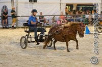 488 A LB 1452    © Daniela und Christian Bittner u.a.    Alle Inhalte auf diesen Webseiten sind urheberrechtlich geschützt. Kein Teil der hier abrufbaren Inhalte darf ohne ausdrückliche schriftliche Erlaubnis des Fotografen reproduziert, gedruckt, übersetzt, in digitaler Form weiterbearbeitet, in Archive übernommen oder Dritten unter einer fremden URL zugänglich gemacht werden.   Fotografen: AE .. A. Esdar, AH .. A. Helmle, CB .. Chr. Bittner, DB .. D. Bittner, LB .. L. Bittner, BB .. B. Boschatzke,   HZ .. H. Ziegelbauer, IM .. I. Maierhöfer, KH .. K. Hauber, LE .. L. Esdar, ME .. M. Esdar, MEr .. M. Erhard,   RM .. R. Maierhöfer, SD .. S. Demchuk, TS .. T. Spaag-Wagner, UL .. U. Ladenburger, JW .. J. Wecker, EB .. E. Boschatzke,   JA .. J. Abele, MW .. Maria Walter, MB .. Manuel Bühler, GG .. Georg Gösele, CBa .. Christoph Bayrle, KZW .. Kathrin Zwerger, PG .. Peter Gösele, CME .. Carmen Müller-Epacher, GB .. Gebhard Bühler, AL .. Alisha Ladenburger, SV .. Susanne Habel-Veit, LV .. Lukas Veit.