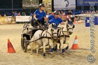 12 Kutschen in voller Fahrt