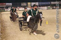 15 Spezialpferde Fahren