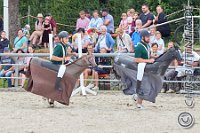 152 A LB 0352    © Daniela und Christian Bittner u.a.    Alle Inhalte auf diesen Webseiten sind urheberrechtlich geschützt. Kein Teil der hier abrufbaren Inhalte darf ohne ausdrückliche schriftliche Erlaubnis des Fotografen reproduziert, gedruckt, übersetzt, in digitaler Form weiterbearbeitet, in Archive übernommen oder Dritten unter einer fremden URL zugänglich gemacht werden.   Fotografen: AE .. A. Esdar, AH .. A. Helmle, CB .. Chr. Bittner, DB .. D. Bittner, LB .. L. Bittner, BB .. B. Boschatzke,   HZ .. H. Ziegelbauer, IM .. I. Maierhöfer, KH .. K. Hauber, LE .. L. Esdar, ME .. M. Esdar, MEr .. M. Erhard,   RM .. R. Maierhöfer, SD .. S. Demchuk, TS .. T. Spaag-Wagner, UL .. U. Ladenburger, JW .. J. Wecker, EB .. E. Boschatzke,   JA .. J. Abele, MW .. Maria Walter, MB .. Manuel Bühler, GG .. Georg Gösele, CBa .. Christoph Bayrle, KZW .. Kathrin Zwerger, PG .. Peter Gösele, CME .. Carmen Müller-Epacher, GB .. Gebhard Bühler, AL .. Alisha Ladenburger, SV .. Susanne Habel-Veit, LV .. Lukas Veit.
