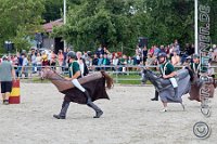 04 Spezialpferde Dressur